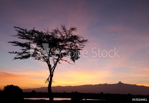 Bild på Mount kenya during sunrise Ol Pejeta Conservancy kenya